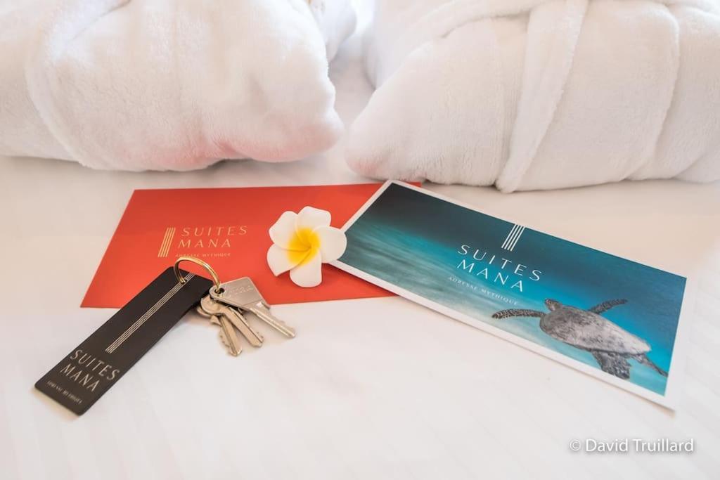 Suites Mana - Matahina Avec Vue Superbe Sur La Place Ducale Et Parking Prive Inclus Charleville-Mezieres Ngoại thất bức ảnh
